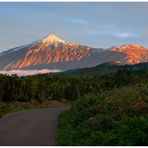 Teide im Abendrot