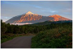 Teide im Abendrot