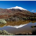 Teide im Februar