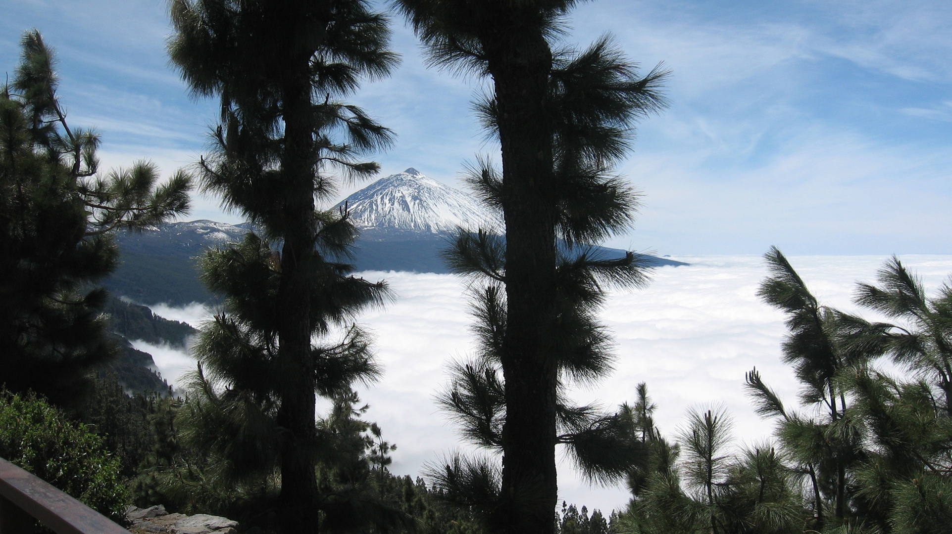 Teide im Frühling