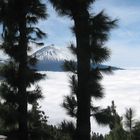 Teide im Frühling