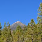 Teide im Frühsommer