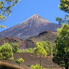 Teide im Herbst