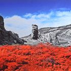 Teide im Herbst