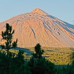 ... Teide im Morgenlicht ...