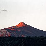 ... Teide im Morgenlicht I ...