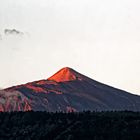 ... Teide im Morgenlicht I ...