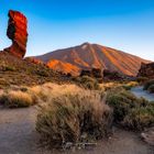 Teide im Sonnenaufgang