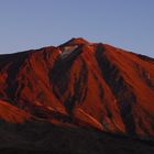 Teide im Sonnenaufgang