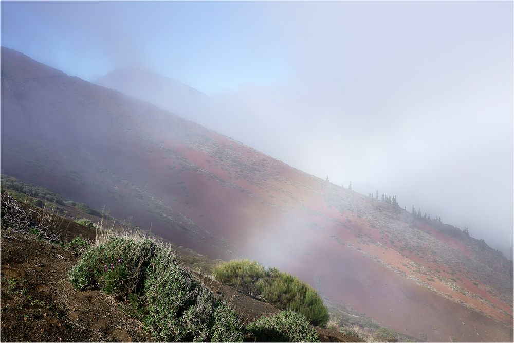 Teide - Impression 1