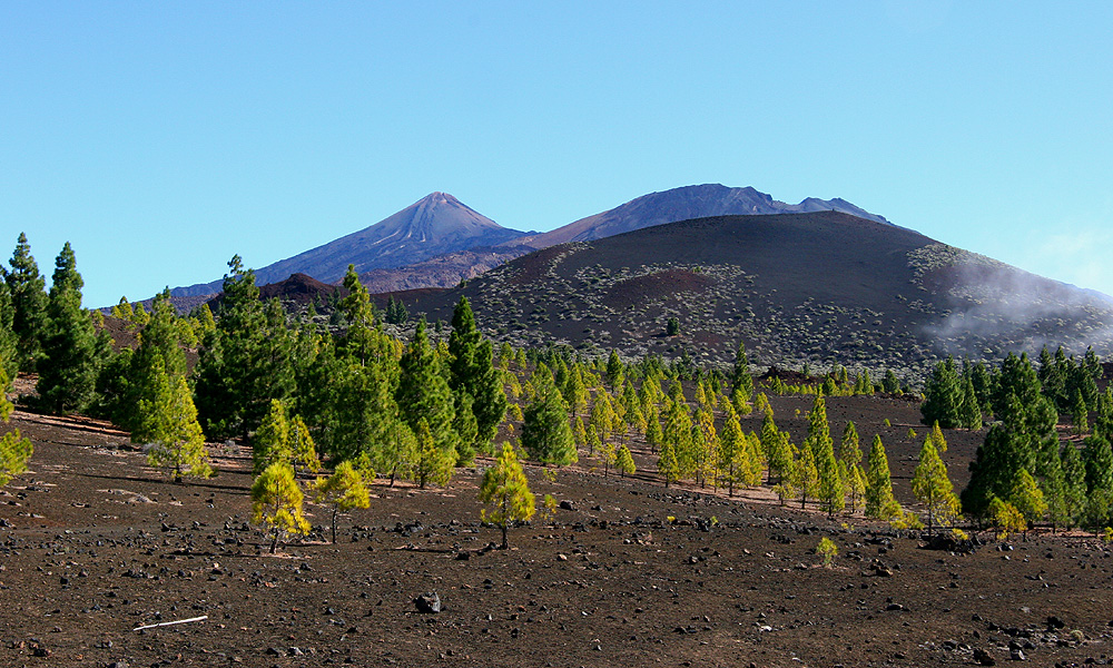 Teide-Landschaft