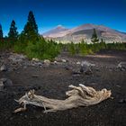 Teide Landschaft