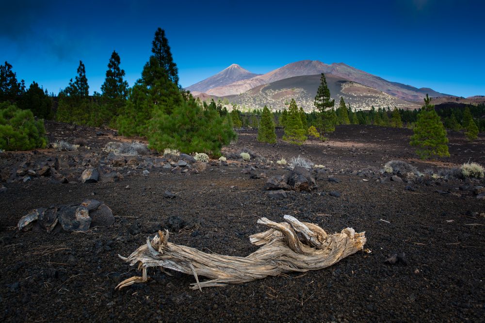 Teide Landschaft