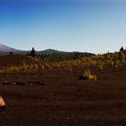 Teide mit Schneehaube