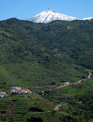 Teide mit Terassenfeldern