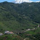 Teide mit Terassenfeldern