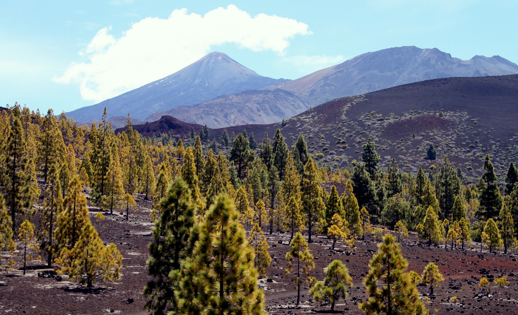 Teide national park, Tenerife Island, Spain