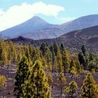 Teide national park, Tenerife Island, Spain