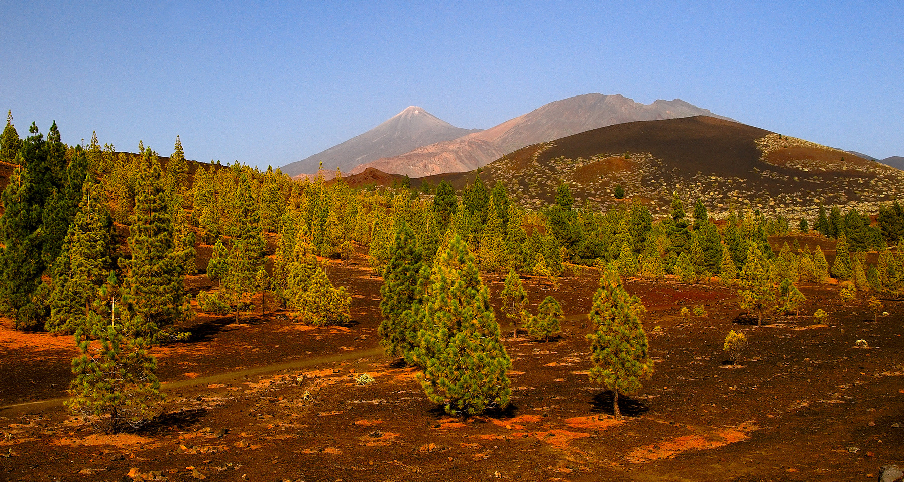 Teide Nationalpark 1