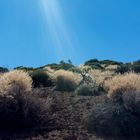 Teide Nationalpark 1