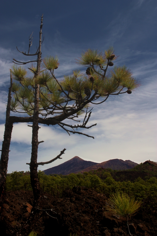 Teide Nationalpark