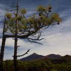 Teide Nationalpark