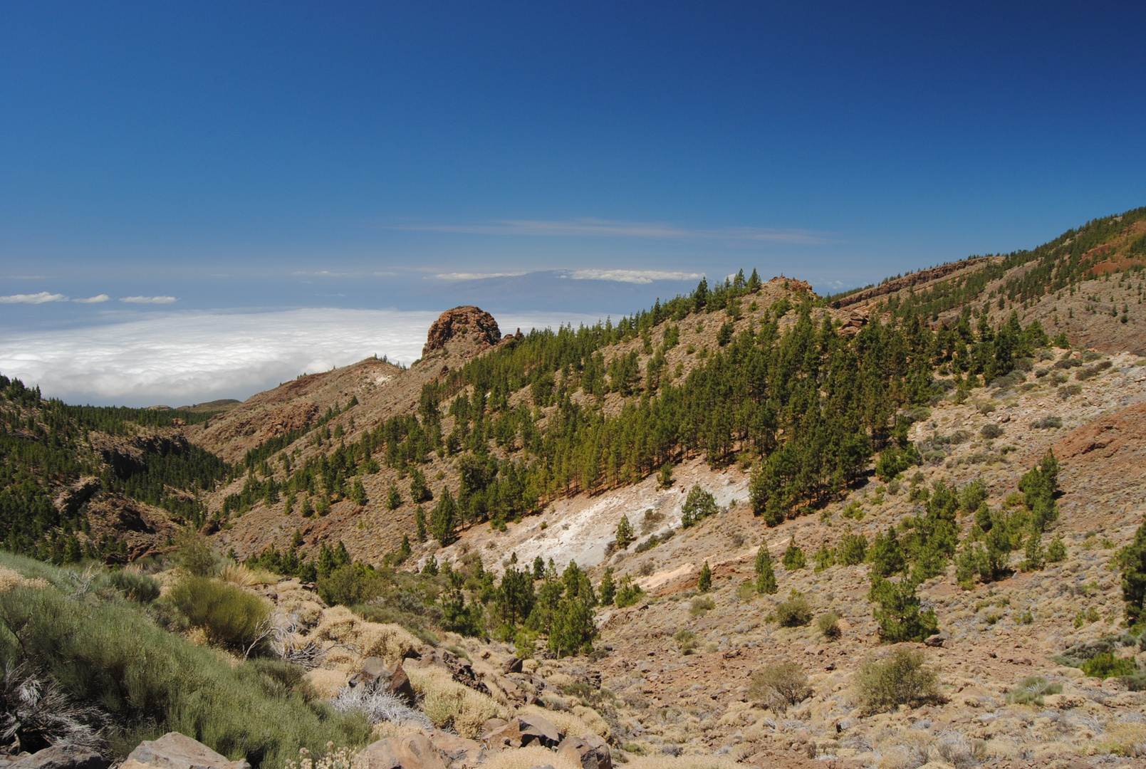 Teide Nationalpark - Blick nach La Gomera