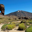 Teide Nationalpark I