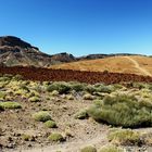 Teide Nationalpark II