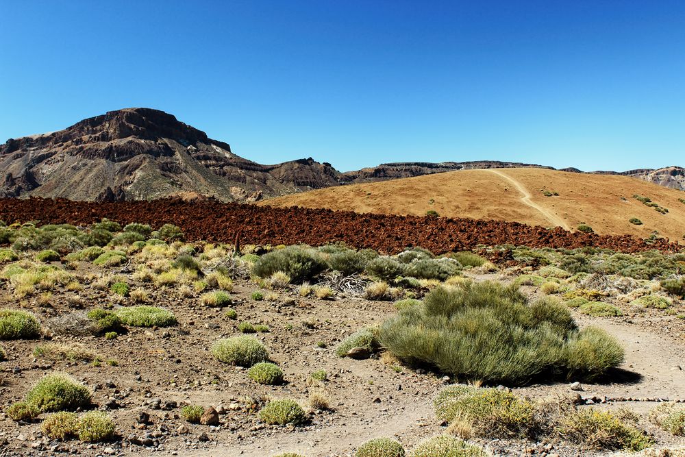 Teide Nationalpark II