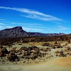 Teide Nationalpark - Teneriffa