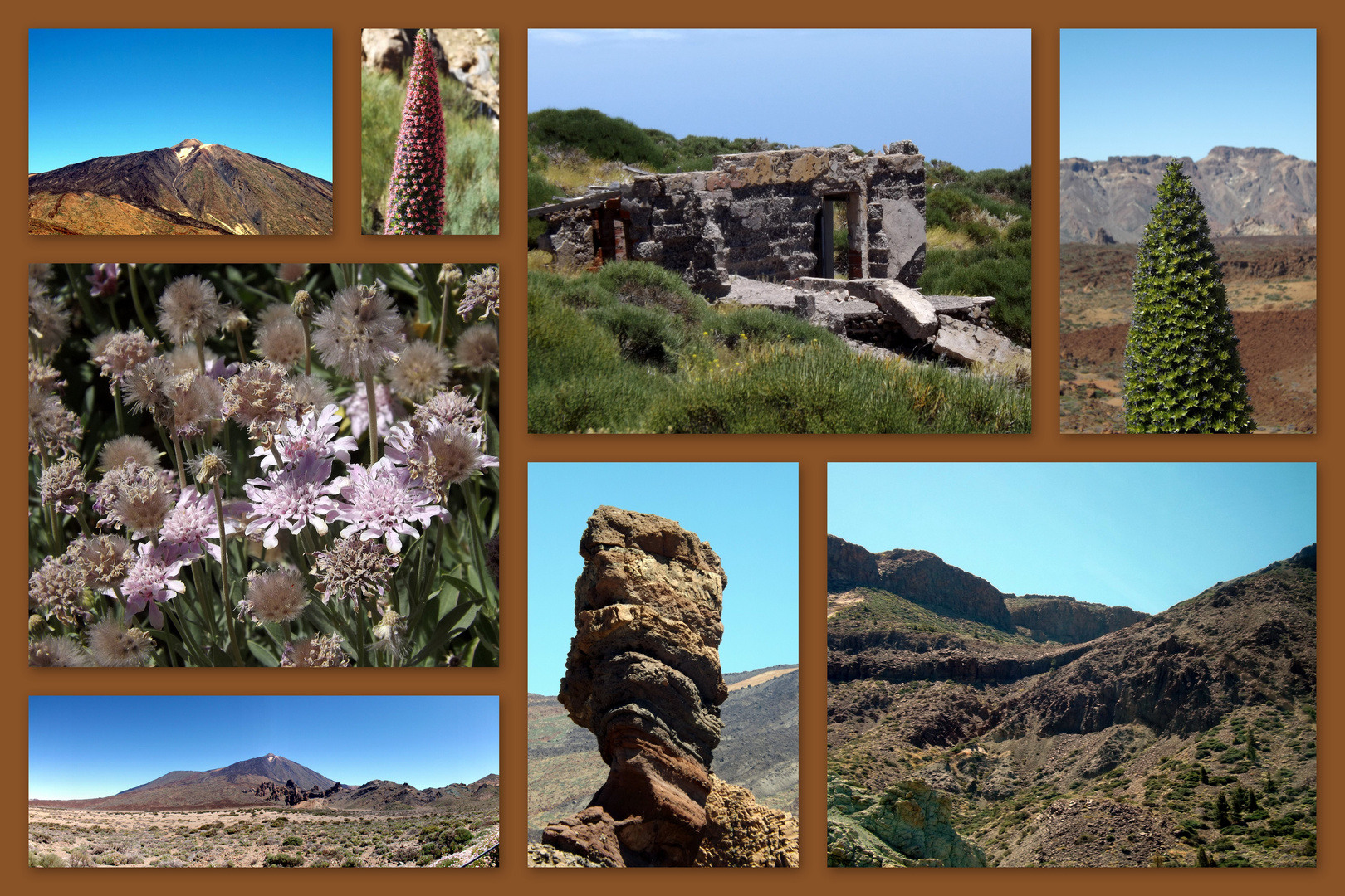 Teide Nationalpark Teneriffa