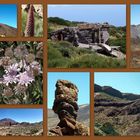 Teide Nationalpark Teneriffa