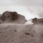 Teide Nebel [1]