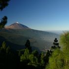 Teide ohne Wolken