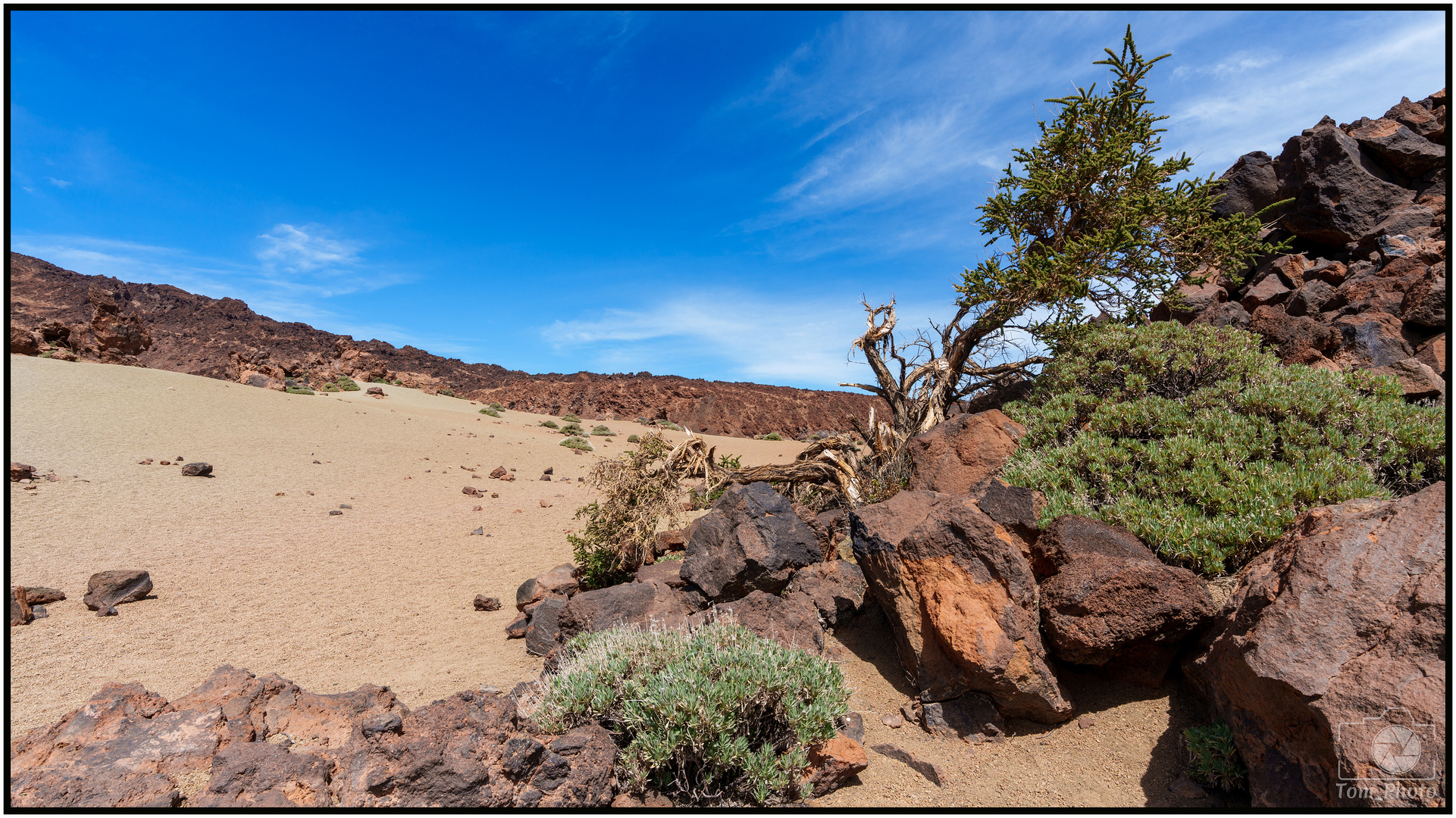 Teide Plateau 1