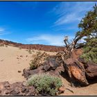 Teide Plateau 1