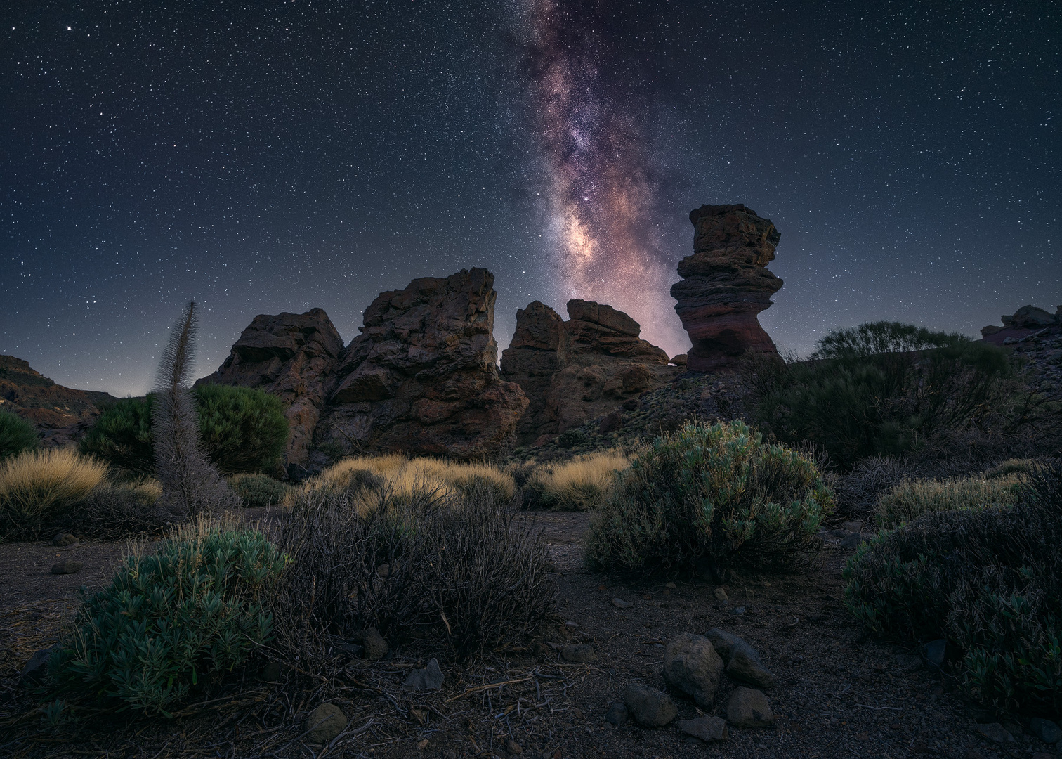 Teide Stars