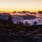 Teide sundown