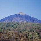 Teide, Tenerife, 2001