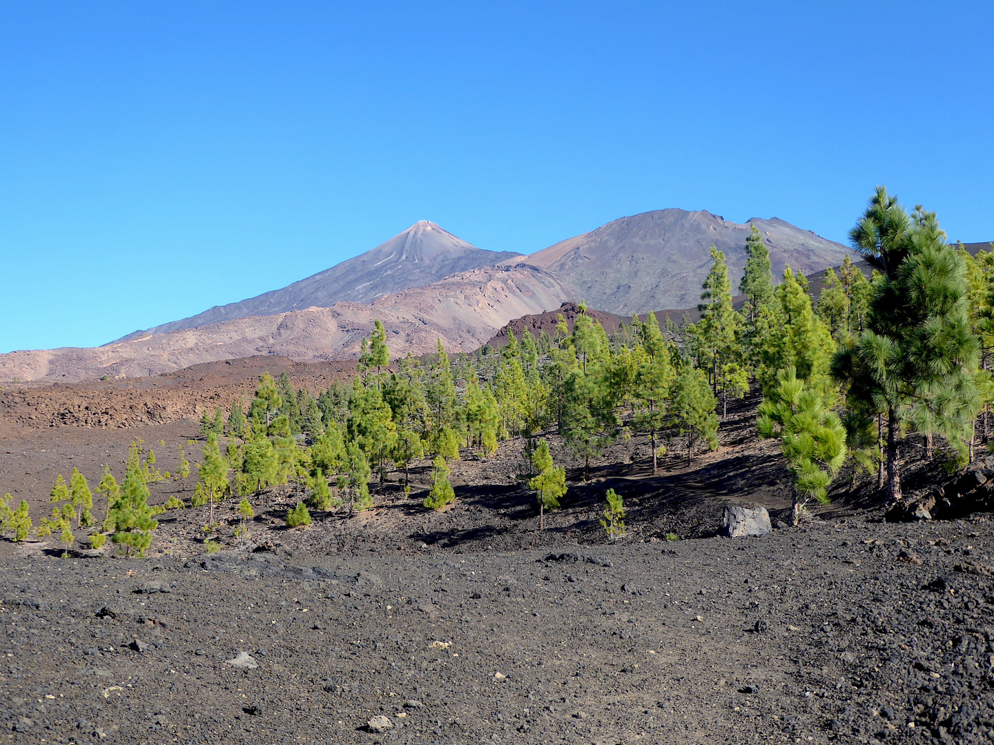 Teide - Tenerife