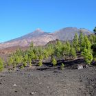 Teide - Tenerife