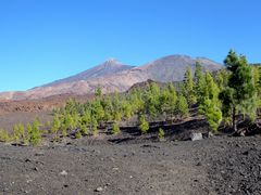 Teide - Tenerife