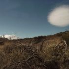 Teide, Tenerife