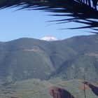 Teide / Tenerife / Spanien