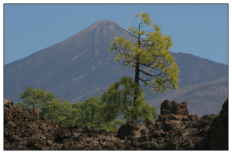 ~ Teide - Teneriffa ~