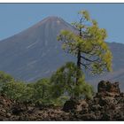 ~ Teide - Teneriffa ~