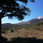 Teide - Teneriffa