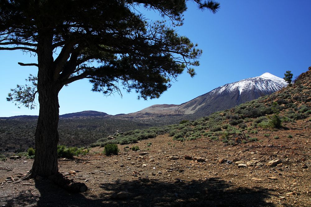 Teide - Teneriffa