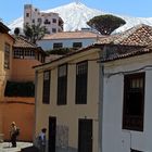 Teide über Icod de los Vinos